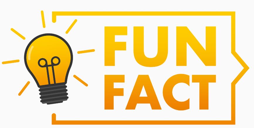 fun fact graphic with lightbulb icon